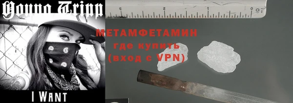ГАЛЛЮЦИНОГЕННЫЕ ГРИБЫ Богданович