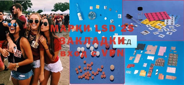 ГАЛЛЮЦИНОГЕННЫЕ ГРИБЫ Богданович