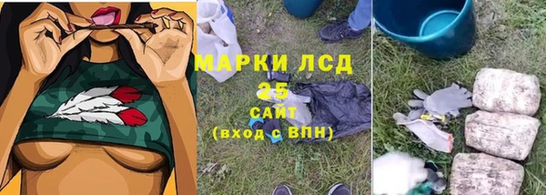 ГАЛЛЮЦИНОГЕННЫЕ ГРИБЫ Богданович
