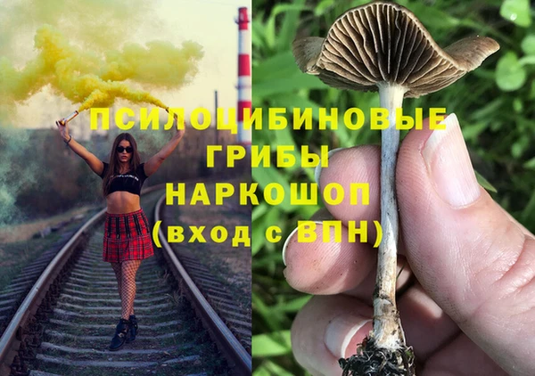 ГАЛЛЮЦИНОГЕННЫЕ ГРИБЫ Богданович