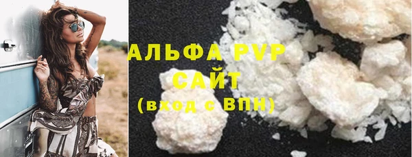 ГАЛЛЮЦИНОГЕННЫЕ ГРИБЫ Богданович